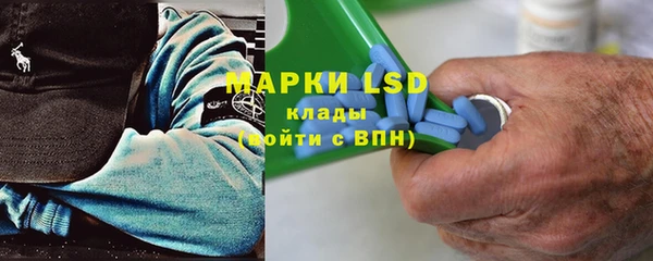 дмт Ельня